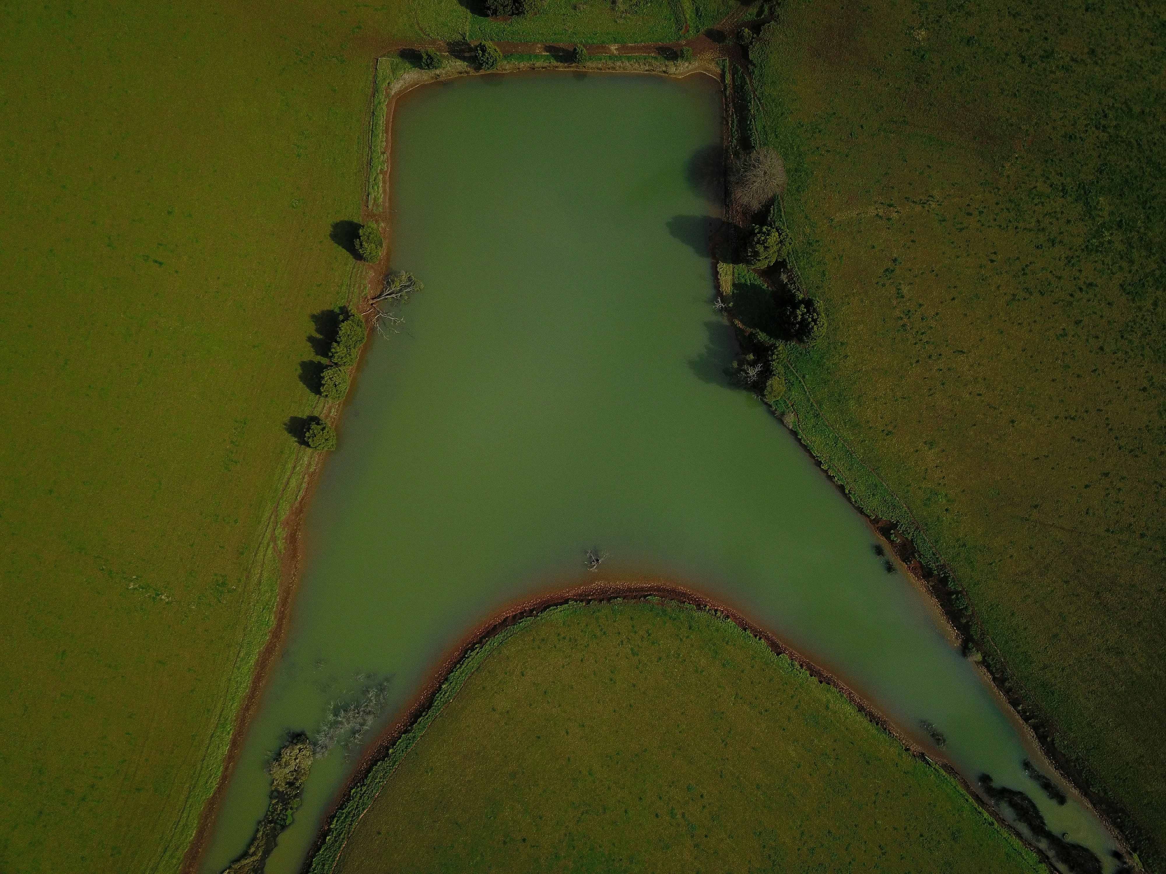 aerial view of green grass field